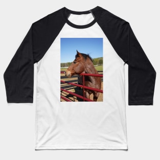 bay horse with red fence Baseball T-Shirt